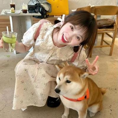 约会规则第六季
